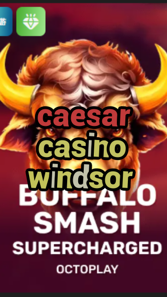 caesar casino windsor-w4cy2mdjlx2bf.com